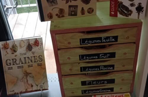 meuble de stockage des graines